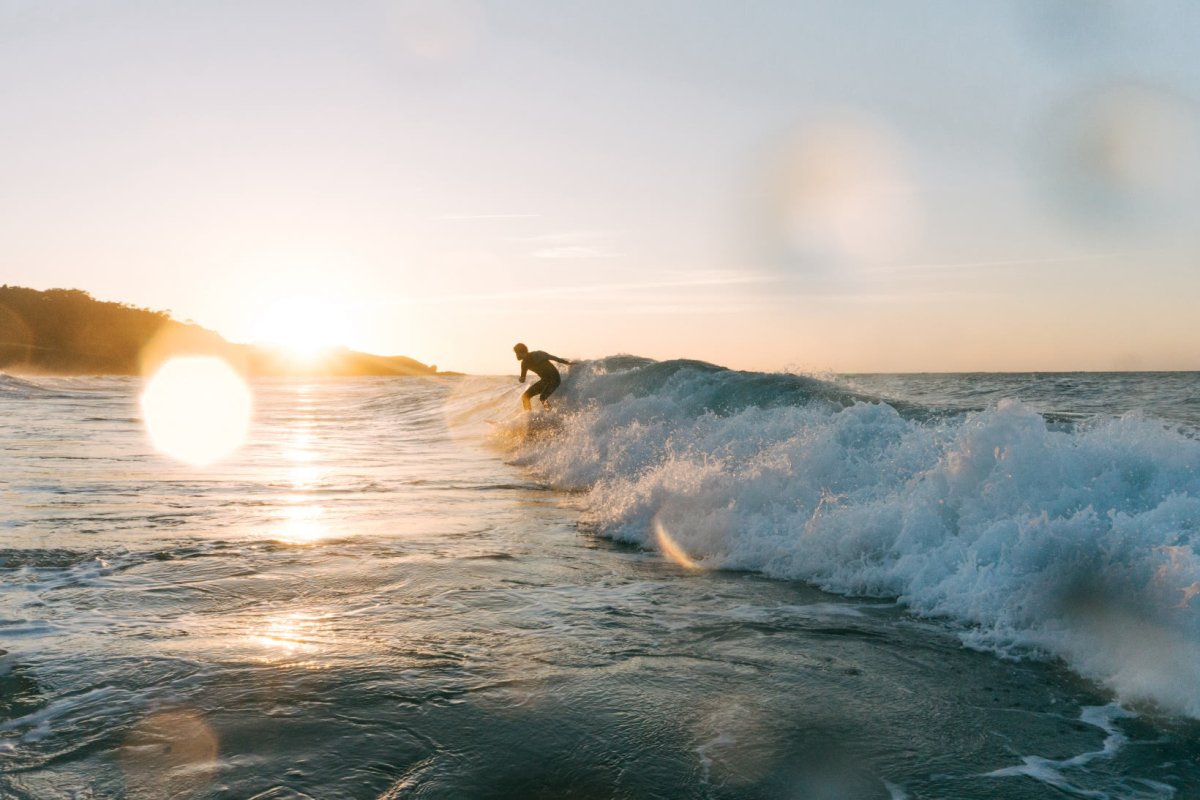 Agosto - Enjoy Native