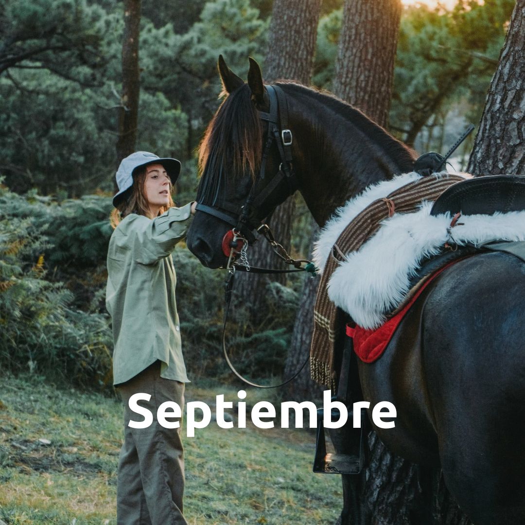 Septiembre desde - Enjoy Native