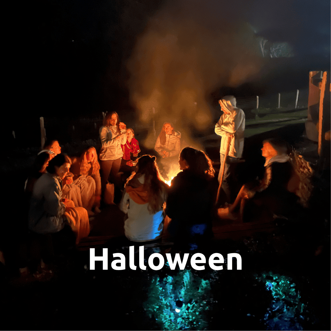 Halloween - Enjoy Native